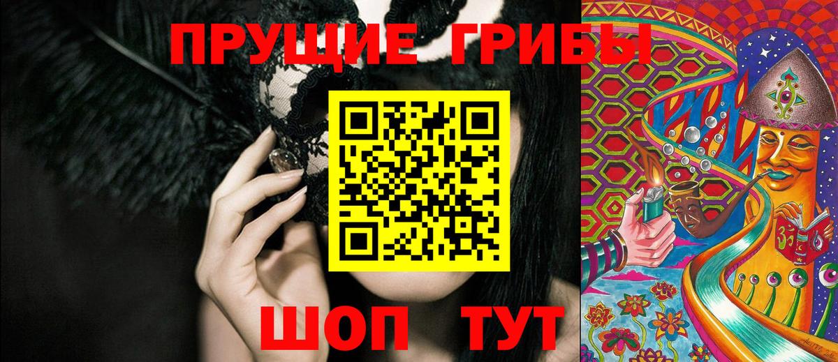 Псилоцибиновые грибы Psilocybine cubensis Кубинка